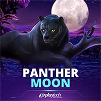 Panther Moon