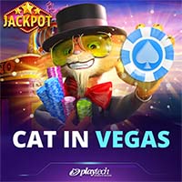 Cat In Vegas