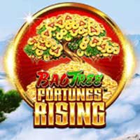 Fortunes Risingᵀᴹ