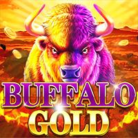 Buffalo Gold